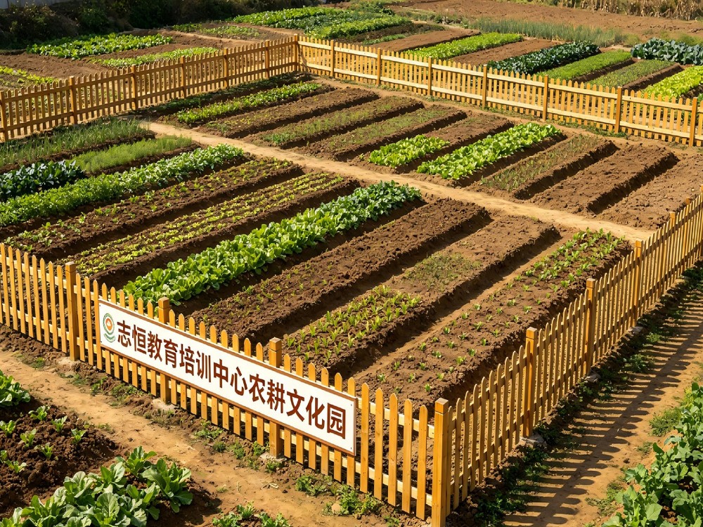 2026年更新梅州可靠的叛逆学生管教学校怎么选择